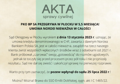 Ilustracja do: PKO BP SA PRZEGRYWA W PŁOCKU W 5,5 MIESIĄCA!<br>UMOWA NORDEI NIEWAŻNA W CAŁOŚCI